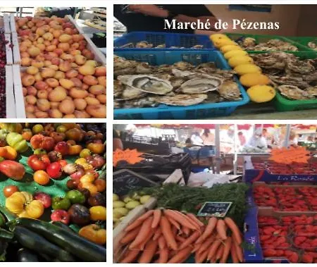 Hotel Le Chic Bohème Pézenas